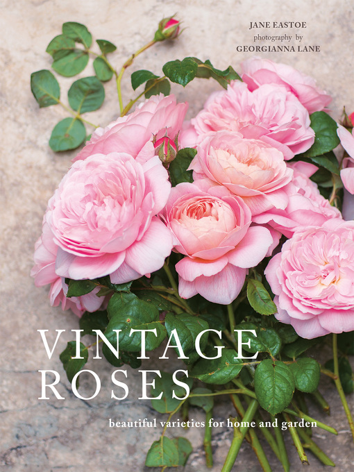 Title details for Vintage Roses by Jane Eastoe - Available